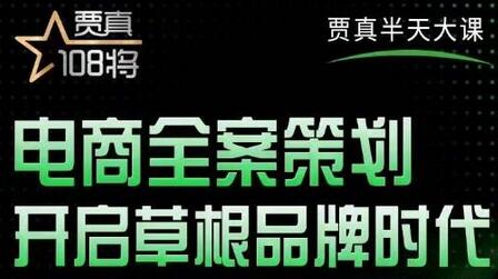 贾真老师电商全案策划课程，全程实战讲解店铺案例-无双副业