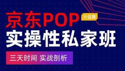 京东POP大促实战班：三天掌握搜推与广告高ROI技巧-无双副业
