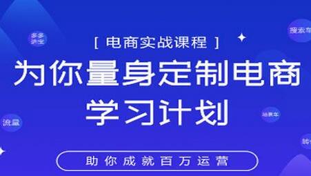 淘宝运营实战宝典：鑫老板电商精品小课，定制电商学习计划-无双副业