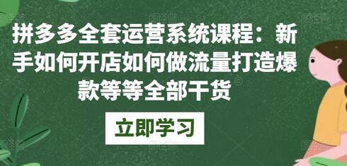 拼多多运营系统课程：新手开店与流量打造爆款全攻略-无双副业