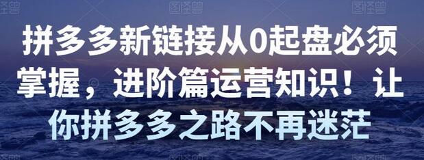 拼多多新链接从0起盘进阶运营知识，助你轻松掌握拼多多运营技巧-无双副业