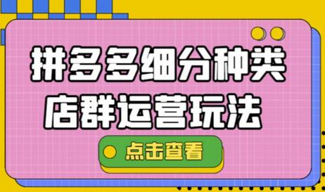 拼多多细分种类店群运营玩法3.0，小白也能轻松上手-无双副业