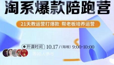 108将淘系爆款陪跑营，从淘宝0开始手把手教你打造爆款-无双副业