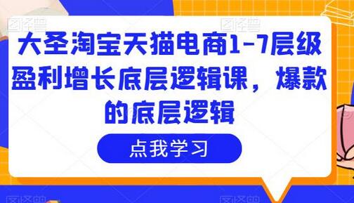 大圣淘宝天猫电商盈利增长与爆款底层逻辑课程-无双副业
