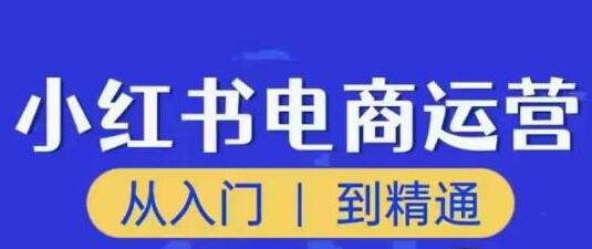 顽石小红书电商高阶运营课程，从入门到精通-无双副业