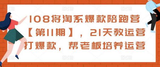 108将淘系爆款陪跑营，21天教运营打爆款，帮老板培养运营-无双副业