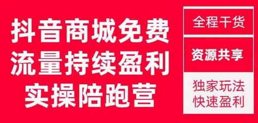抖音商城搜索盈利陪跑成长营，从0到10的全面解决方案-无双副业