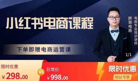 胖哥小红书电商课程，新手也能轻松上手，手机做电商无压力-无双副业