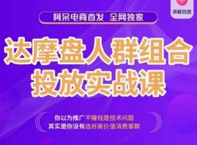 阿呆电商达摩盘人群组合投放实战课：高价值消费客群选择技巧-无双副业