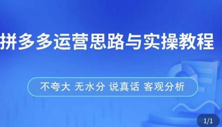 拼多多店铺运营与开店实操教程，快速掌握盈利技巧-无双副业
