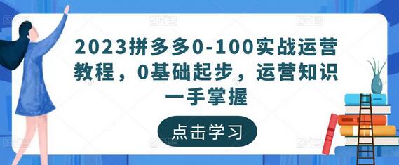 2023拼多多实战运营教程，从0基础到精通运营技巧-无双副业