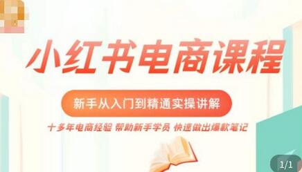 小红书电商新手入门到精通实操课，打造爆款笔记与开店运营-无双副业