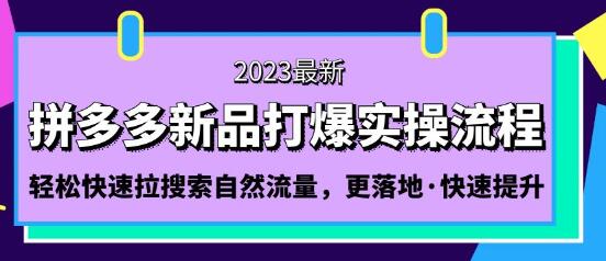 拼多多新品打爆全流程，14天快速提升搜索自然流量-无双副业