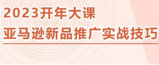 2023亚马逊新品推广实战技巧：简单可复制的推广策略-无双副业