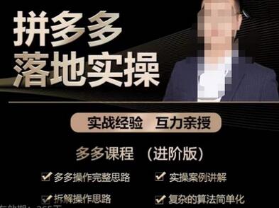 拼多多实战操作：完整思路与案例解析-无双副业