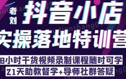 抖音小店实操落地特训营：无货源精细化运营与商品卡流量-无双副业