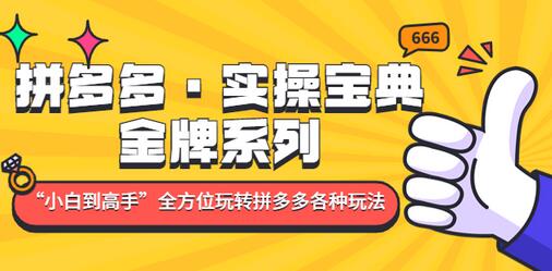 拼多多实操宝典：从新手到高手的全方位玩法指南-无双副业