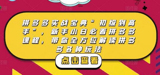 拼多多实战宝典：从初级到高手，全方位解读拼多多玩法-无双副业