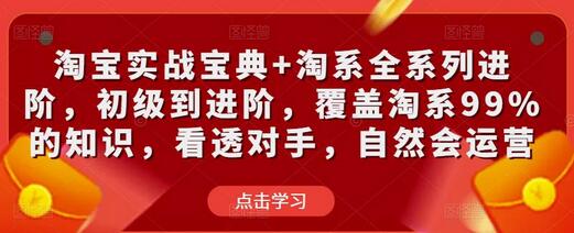 淘宝实战宝典与淘系全系列进阶课程，从初级到高级全覆盖-无双副业