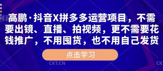 高鹏抖音拼多多运营项目，无需出镜直播拍视频推广囤货发货-无双副业