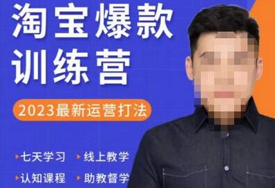 淘宝爆款训练营：2023最新运营打法与利润增长策略-无双副业