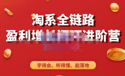 淘系全链路盈利增长闭环进阶营，全店动销实战课程-无双副业