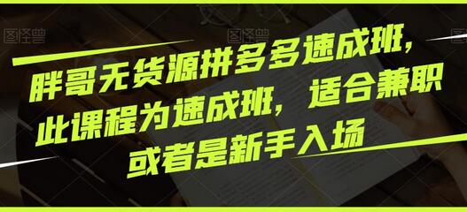 胖哥无货源拼多多速成班，适合兼职新手快速入门-无双副业