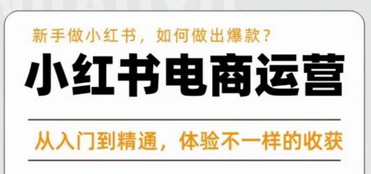 小红书电商运营课：新手快速打造爆款，从入门到精通-无双副业