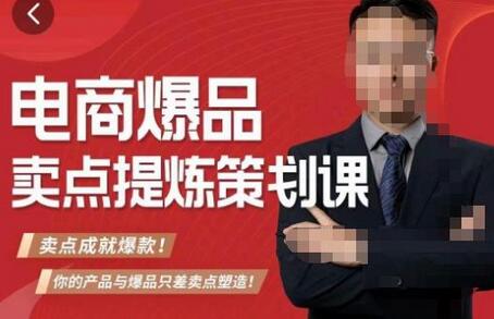 电商标品爆款卖点策划课，成就爆款的卖点提炼技巧-无双副业