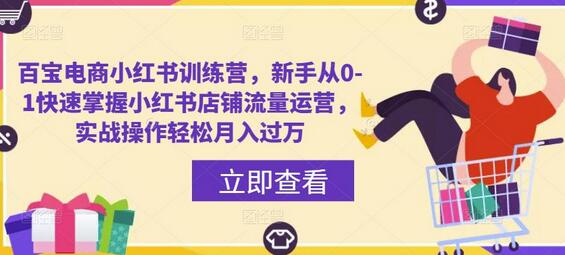 百宝电商小红书训练营，新手快速掌握店铺流量运营-无双副业