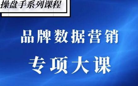 品牌营销数据分析与爆品打造策略-无双副业
