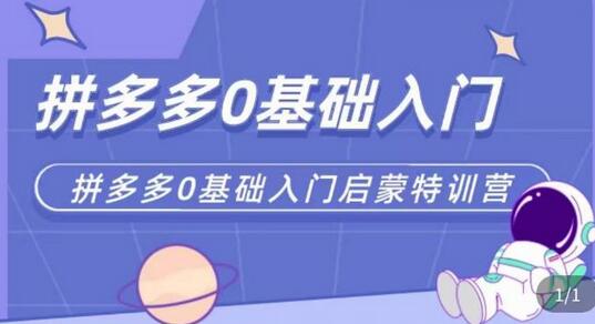 拼多多运营从入门到进阶实操特训营-无双副业