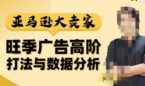 亚马逊大卖家广告高阶打法与数据分析，突破传统广告误区-无双副业
