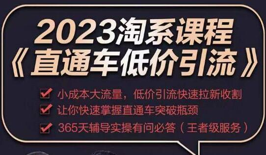 2023直通车低价引流玩法课程，小成本大流量快速拉新收割-无双副业