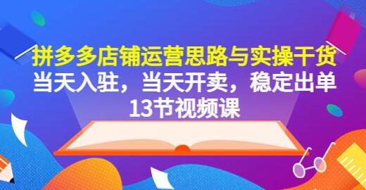 拼多多店铺运营与实操指南，快速入驻稳定出单-无双副业
