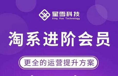 星雪淘系进阶课程：突破流量瓶颈必备技能提升指南-无双副业