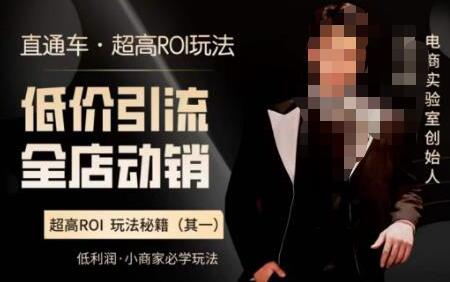 电商直通车低价引流全店动销超高ROI玩法教程-无双副业