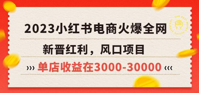 2023小红书电商红利爆发，单店收益高达30000元-无双副业