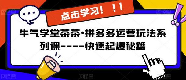 牛气学堂茶茶拼多多运营玩法系列课快速起爆秘籍-无双副业