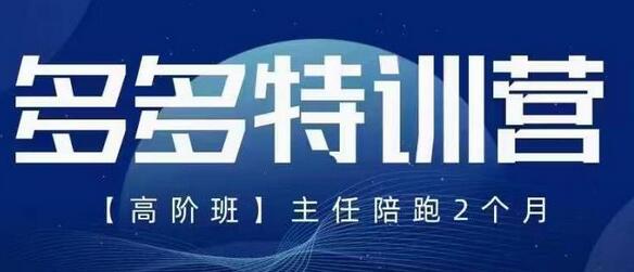 纪主任5月多多特训营高阶班，玩法落地实操全掌握-无双副业