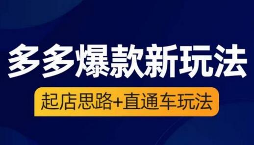 海神·多多爆款新玩法：起店思路与直通车技巧-无双副业