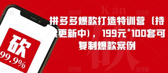 拼多多爆款打造特训营：199元100套可复制案例-无双副业