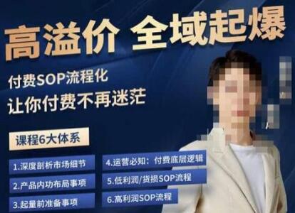 逸风拼多多高溢价全域起爆课程，6大体系实操指南-无双副业