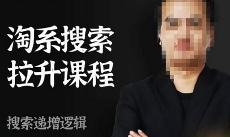 齐天电商淘系搜索提升课程，搜索递增与动销标准化流程详解-无双副业