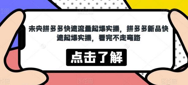 拼多多快速流量起爆实操与新品推广技巧-无双副业