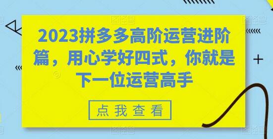 2023拼多多高阶运营进阶：四式成为运营高手-无双副业