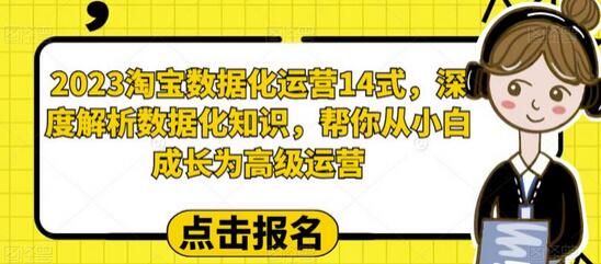 2023淘宝数据化运营14式，从小白到高级运营的深度解析-无双副业