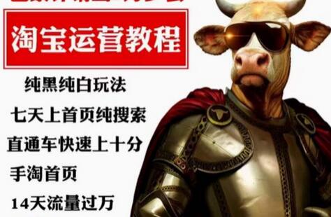 猫老师淘系算法解密，纯黑纯白玩法，七天上首页搜索流量破万-无双副业