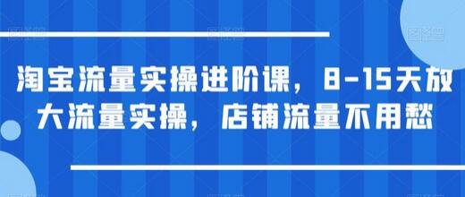 淘宝流量实操进阶课，8-15天放大流量实操，店铺流量无忧-无双副业