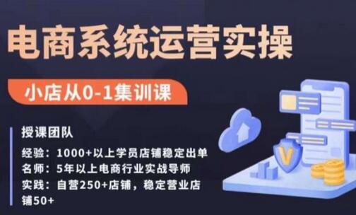 抖店精细化运营全案课，抖音小店从0-1集训营，电商系统运营实操课-无双副业